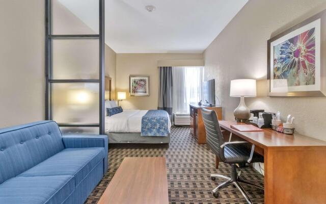 Best Western Plus Greenville I-385 Inn & Suites