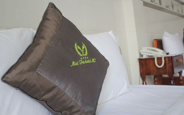 Mai Tra Hotel