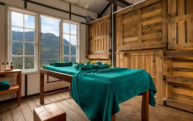 Tea & Experience Factory