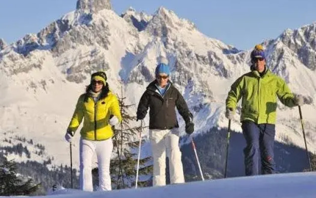Hotel Alpen Villa Rieder