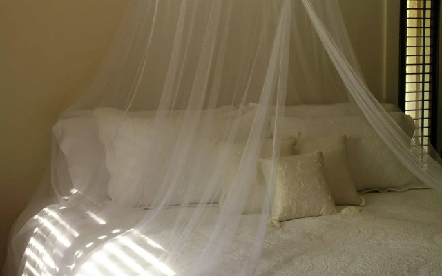 Plantation House Bed & Breakfast