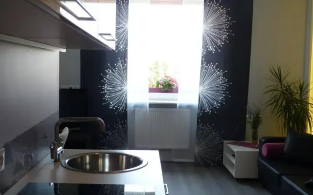 Apartament w Centrum