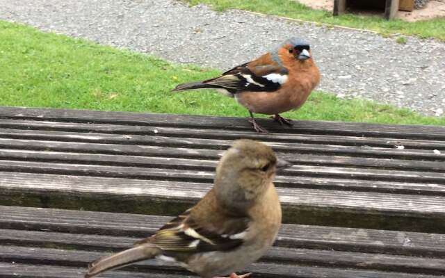 Exmoor House - Guest House