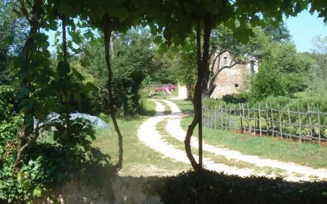Vacation Home Vinola