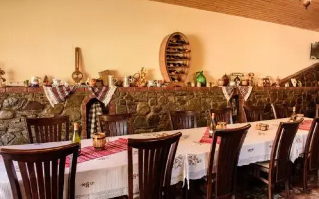 Pensiunea Darian & David