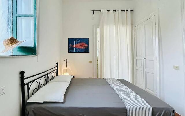 Monolocale Plus 3 - Olivieri 25