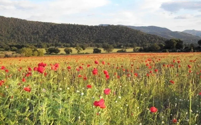 Agriturismo Il Casalino
