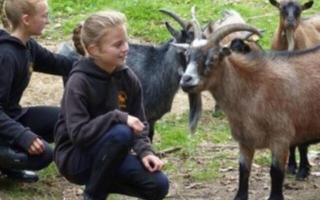 Bernsteinreiter Erlebnishof Barth, Blockhütte 17