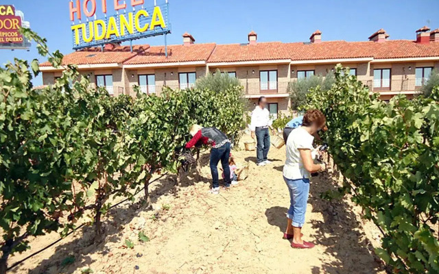Hotel Spa Tudanca Aranda