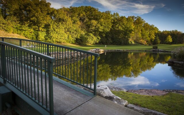 Grey Moose Lodge 2 Bedroom Cabin
