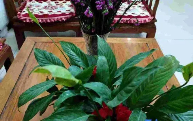 xianxiaowokuiajiejiudian