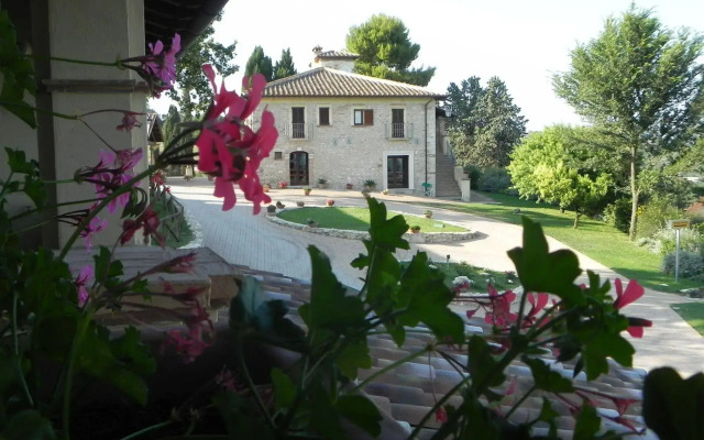 Tenuta Pizzogallo