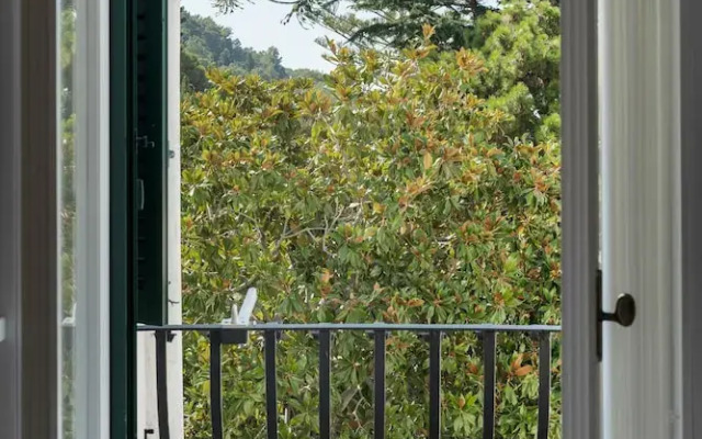 Azzurra, Capri Center