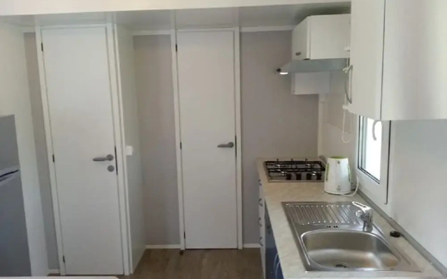 Iva - Great Garden - H