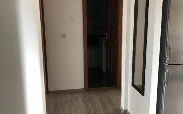 Ale Teo Apartament