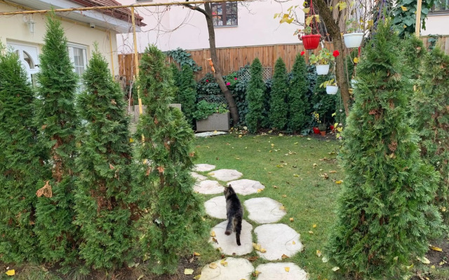 Avram Iancu Apartment