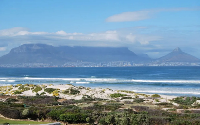 Dolphin Beachfront Condo