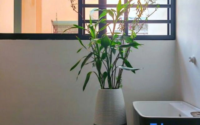 Shengtangli Homestay