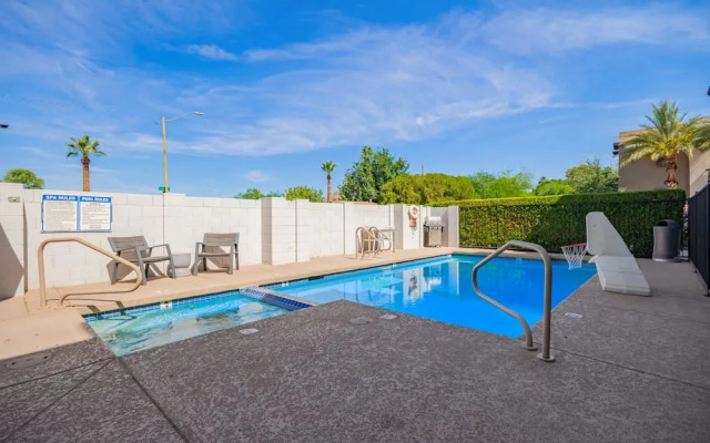 NEW Desert Standard Modern 3-level Oasis