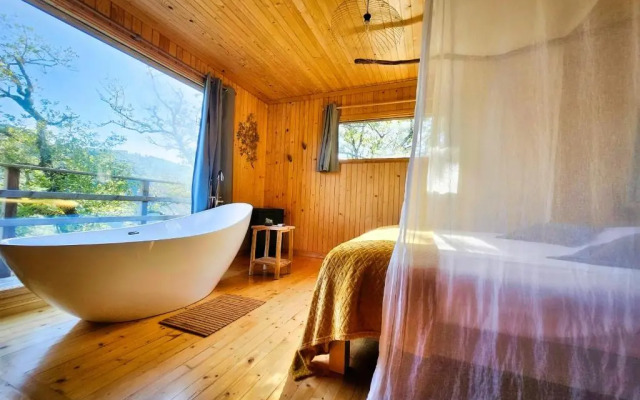 Hetre Sous Le Charme