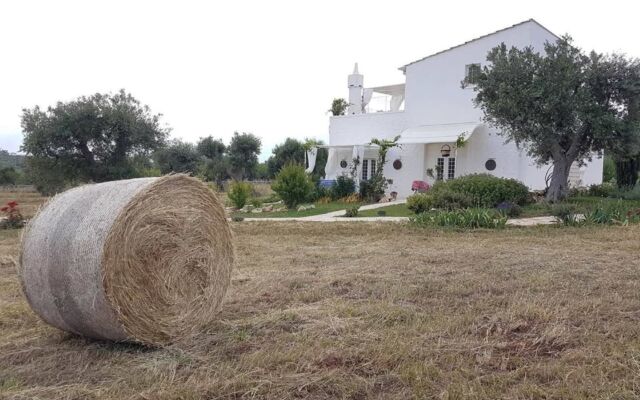 Masseria Montefieno