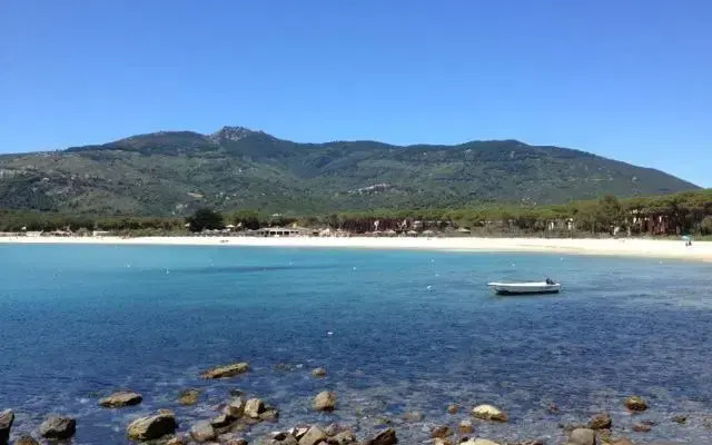 Geranio Blu