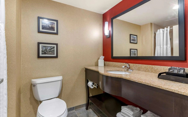 Comfort Suites Florence I-95