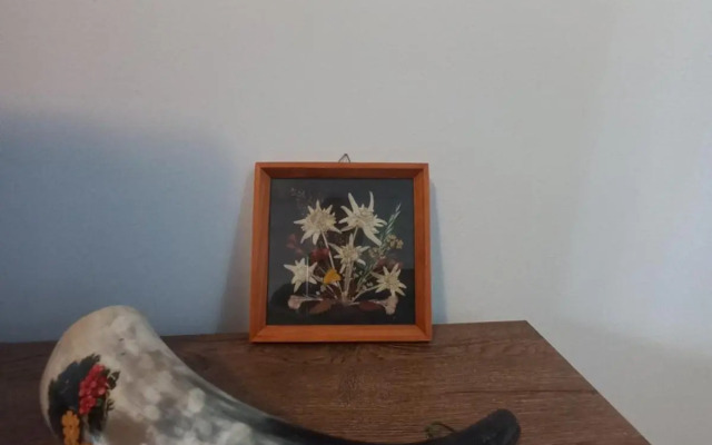 Winslow Highland Bansko - Apartment Giovanni, ул Валевица 7 кв Грамадето