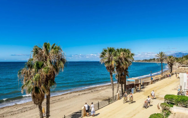 All About Marina Mariola