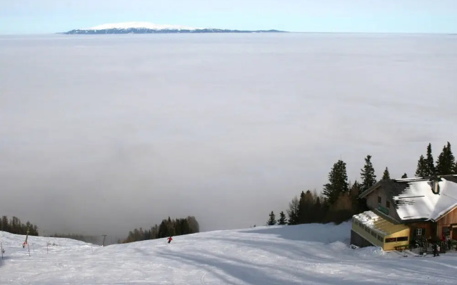 Luxurious Apartment in Eberndorf With Large Garden