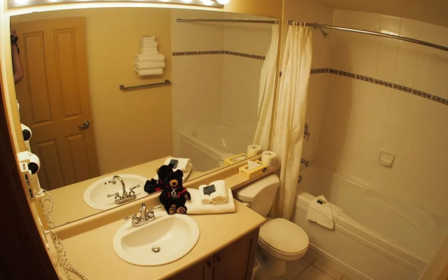 Fireside Lodge by Bear Country