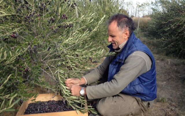 Chacra La Calandria B&B