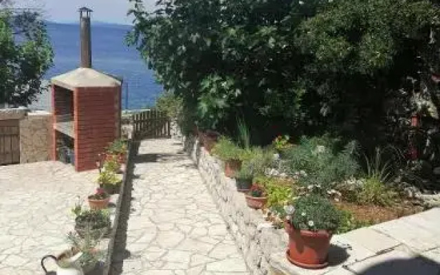 Apartment Rojal