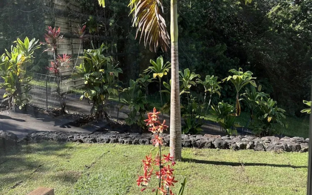 Mango Sunset Bed and Breakfast