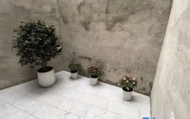 Shengzhu Homestay