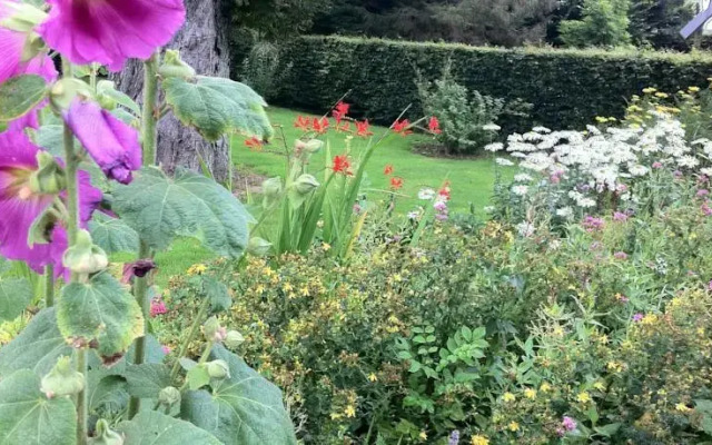 Chambres dHôtes la Riviérette