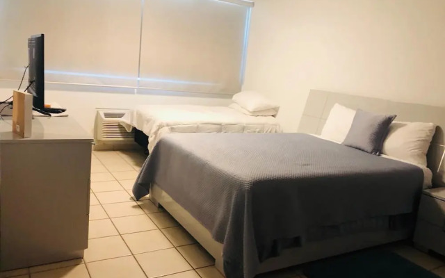 Suburb Pethouse Apartment