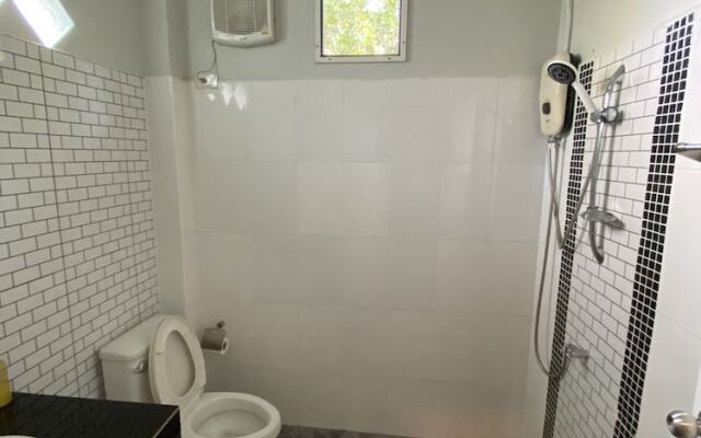 Brown Andaman  Krabi