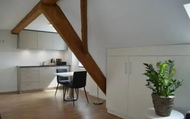 Marco Polo Business Apartments - Wohlen