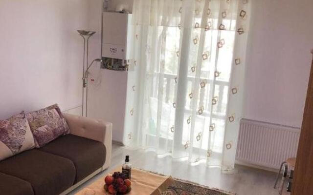 Cazare în Bușteni - apartament 3 camere
