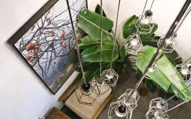 Yangjiatang Seclusive Genealand