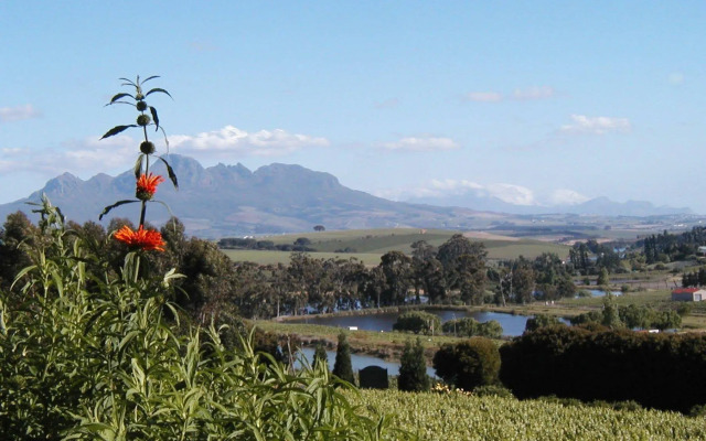 The Devon Valley Hotel