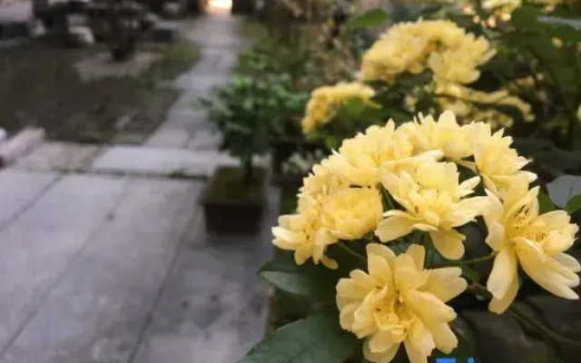 Yunwai Guesthouse