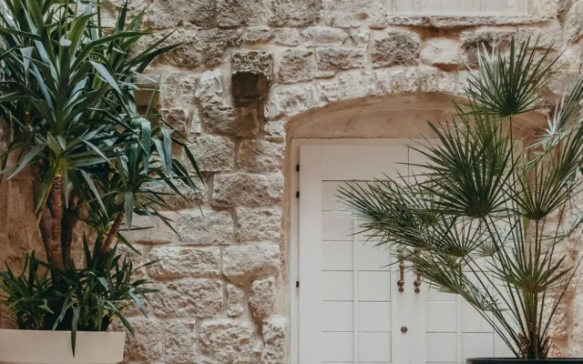 Lesic Dimitri Palace