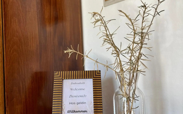 Tradicional Apartment