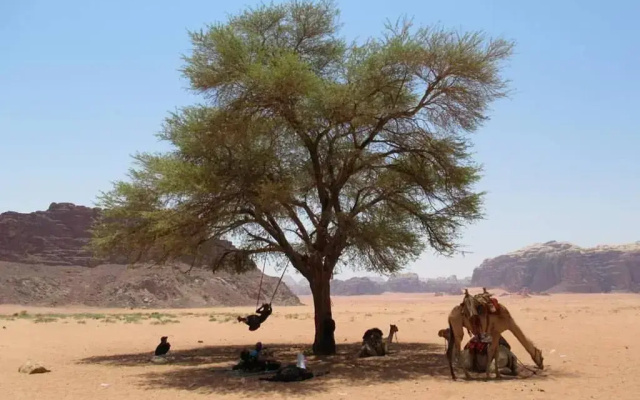 Climbers' House in Wadi Rum
