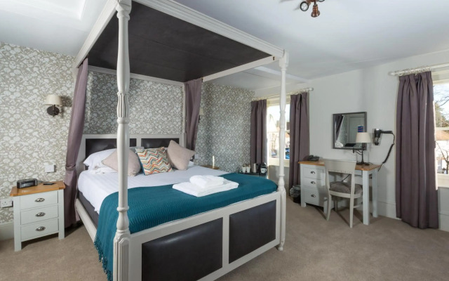 Dog & Bear Hotel