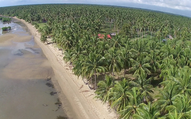 la caballa beach resort bar & grill