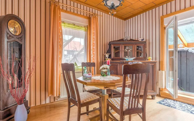 Lovely Apartment in Ilsenburg Harz near Ski Area