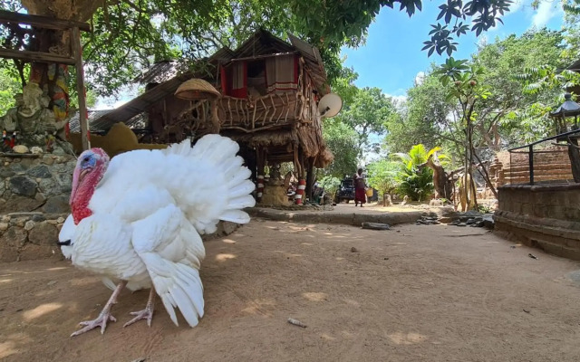 Humbhaha Jungle Nature Eco Resort